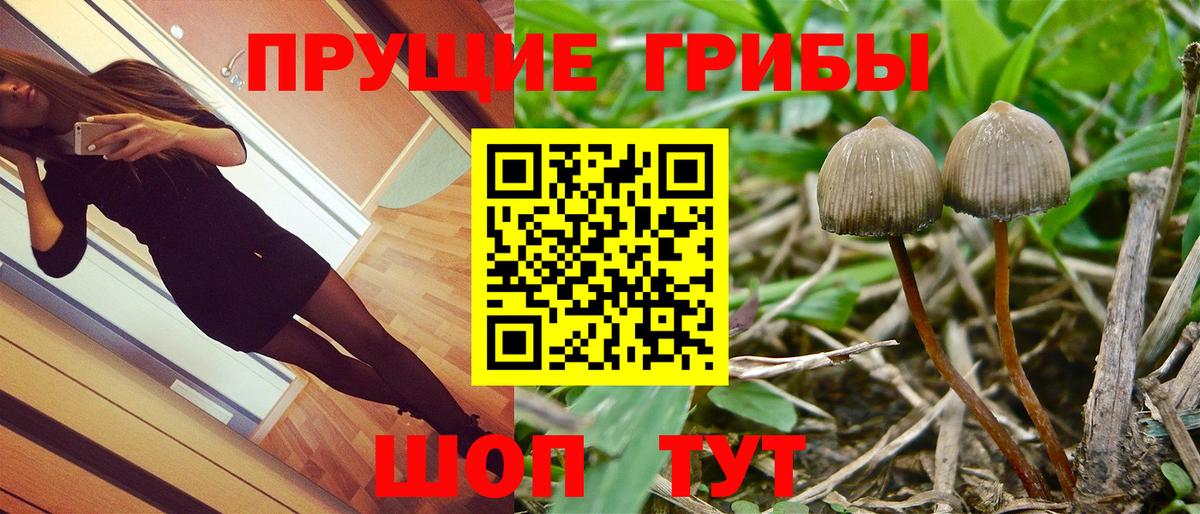 Псилоцибиновые грибы Magic Shrooms  купить наркотики цена  Вход с VPN  Сочи  Псилоцибиновые грибы MAGIC MUSHROOMS 